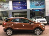 Cần bán lại xe Ford EcoSport sản xuất năm 2019, giá chỉ 605 triệu