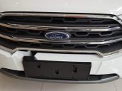 Cần bán Ford EcoSport đời 2019, màu trắng giá cạnh tranh