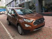 Cần bán lại xe Ford EcoSport sản xuất năm 2019, giá chỉ 605 triệu