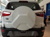 Cần bán Ford EcoSport đời 2019, màu trắng giá cạnh tranh