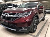 Bán ô tô Honda CR V G năm 2019, màu đỏ, xe nhập