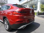 Cần bán xe BMW X4 xDrive20i sản xuất 2019, màu đỏ, xe nhập