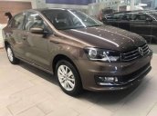 Cần bán xe Volkswagen Polo 2019, màu nâu, nhập khẩu