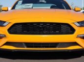 Bán Ford Mustang 2.3 AT sản xuất 2019, màu vàng