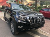 Bán Toyota Land Cruiser Prado VX 2.7L đồng ánh kim nhập khẩu