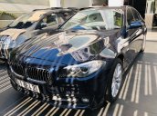 Cần bán xe BMW 520 Series đăng ký lần đầu 2016, màu xanh lam nhập từ Nhật