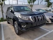 Toyota Tân Cảng bán Toyota Land Cruiser Prado nhập khẩu tại Nhật-mới 100% - đủ màu giao xe ngay