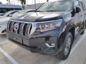 Toyota Tân Cảng bán Toyota Land Cruiser Prado nhập khẩu tại Nhật-mới 100% - đủ màu giao xe ngay