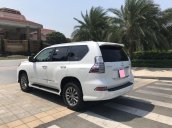 Bán xe Lexus GX460 đời 2016 màu trắng, nội thất đen, BSTP