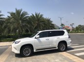 Bán xe Lexus GX460 đời 2016 màu trắng, nội thất đen, BSTP