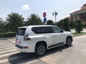 Bán xe Lexus GX460 đời 2016 màu trắng, nội thất đen, BSTP