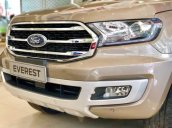 Bán Ford Everest sản xuất năm 2019, xe nhập