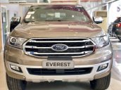 Bán Ford Everest sản xuất năm 2019, xe nhập