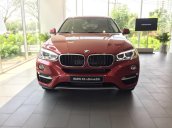 Bán xe BMW X6 năm sản xuất 2018