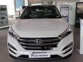 Bán xe Hyundai Tucson bản đặc biệt màu trắng, vàng be giao ngay