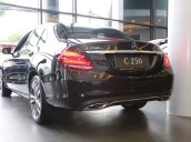 Bán xe cũ Mercedes C250 đời 2018, màu đen