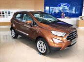 Cần bán xe Ford Ecosport 2019 LH 0974 543 032  để được ưu đãi tốt nhất phụ kiện full đồ