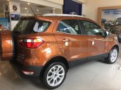 Cần bán xe Ford Ecosport 2019 LH 0974 543 032  để được ưu đãi tốt nhất phụ kiện full đồ