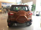 Cần bán xe Ford Ecosport 2019 LH 0974 543 032  để được ưu đãi tốt nhất phụ kiện full đồ