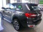 Bán xe Ford Everest Titanium đời 2019, màu xám (ghi), xe nhập khẩu