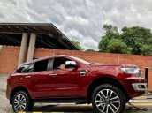 Bán Ford Everest đời 2019, màu đỏ, nhập khẩu