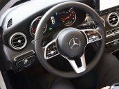 Bán Mercedes C300 hoàn toàn mới 2020, giao ngay, ưu đãi cực tốt