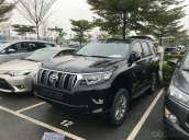 Cần bán xe Toyota Land Cruiser đời 2019, màu đen, nhập khẩu nguyên chiếc