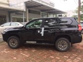 Cần bán xe Toyota Land Cruiser đời 2019, màu đen, nhập khẩu nguyên chiếc