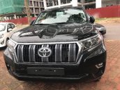 Cần bán xe Toyota Land Cruiser đời 2019, màu đen, nhập khẩu nguyên chiếc