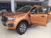 Bán Ford Ranger năm sản xuất 2018, màu nâu, nhập khẩu