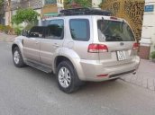 Cần bán lại xe Ford Escape đời 2009, màu bạc còn mới, 345 triệu