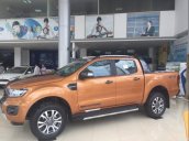 Bán Ford Ranger năm sản xuất 2018, màu nâu, nhập khẩu