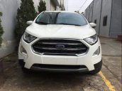 Bán xe Ford EcoSport 2019, màu trắng, mới hoàn toàn