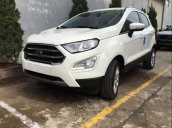 Bán xe Ford EcoSport 2019, màu trắng, mới hoàn toàn