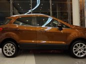 Cần bán xe Ford Ecosport đầy đủ phiên bản tặng BHVC, full bộ PK Ford Performance Limited đời 2019, giá 533tr