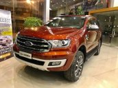 Bán ô tô Ford Everest năm sản xuất 2019