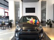 Kia Morning sx 2019 từ 290tr, ưu đãi lớn tại Cao Bằng