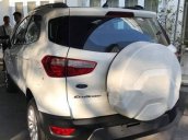 Bán Ford EcoSport sản xuất năm 2019, màu trắng, nhập khẩu 