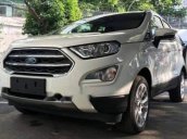 Bán Ford EcoSport sản xuất năm 2019, màu trắng, nhập khẩu 