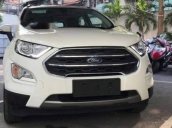 Bán Ford EcoSport sản xuất năm 2019, màu trắng, nhập khẩu 