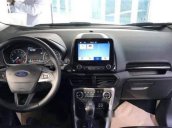 Bán Ford EcoSport sản xuất năm 2019, màu trắng, nhập khẩu 