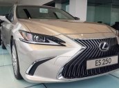 Bán Lexus ES 250 đời 2019, màu vàng cát, nhập khẩu