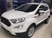 Bán xe Ford EcoSport sản xuất năm 2019, màu trắng