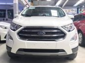 Bán xe Ford EcoSport sản xuất năm 2019, màu trắng