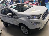 Bán xe Ford EcoSport sản xuất năm 2019, màu trắng