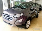 Bán ô tô Ford EcoSport 1.0 Ecoboost, giảm tiền tươi, tặng BHVC, đời 2019, màu xám, nâu