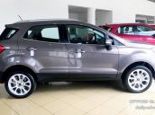 Bán ô tô Ford EcoSport 1.0 Ecoboost, giảm tiền tươi, tặng BHVC, đời 2019, màu xám, nâu