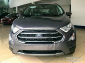 Bán ô tô Ford EcoSport 1.0 Ecoboost, giảm tiền tươi, tặng BHVC, đời 2019, màu xám, nâu