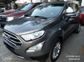 Bán Ford Ecosport 1.0 Ecoboost 2019 lăn bánh trọn gói, KH: BH, Film, bệ bước