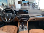 Bán ô tô BMW 5 Series 530i sản xuất năm 2019, màu đen, mới 100%